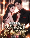替嫁新妻：残疾大佬每天都在吃醋