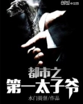 都市之第一太子爷