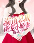 霸道总裁诱宠小娇妻