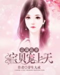 总裁追妻,宝贝宠上天