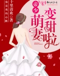 帝少男神总催婚
