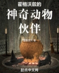 霍格沃茨的神奇动物伙伴
