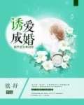 诱爱成婚,腹黑老公难招架