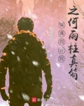 情满四合院之何雨柱真笱