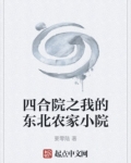 四合院之我的东北农家小院