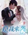 总裁来袭