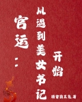 官运:从遇到美女书记开始