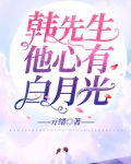 韩先生他心有白月光