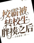 校霸被转校生胖揍之后